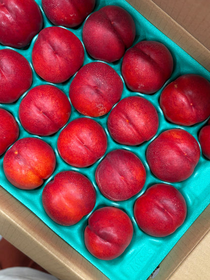 Seasonal Small Box